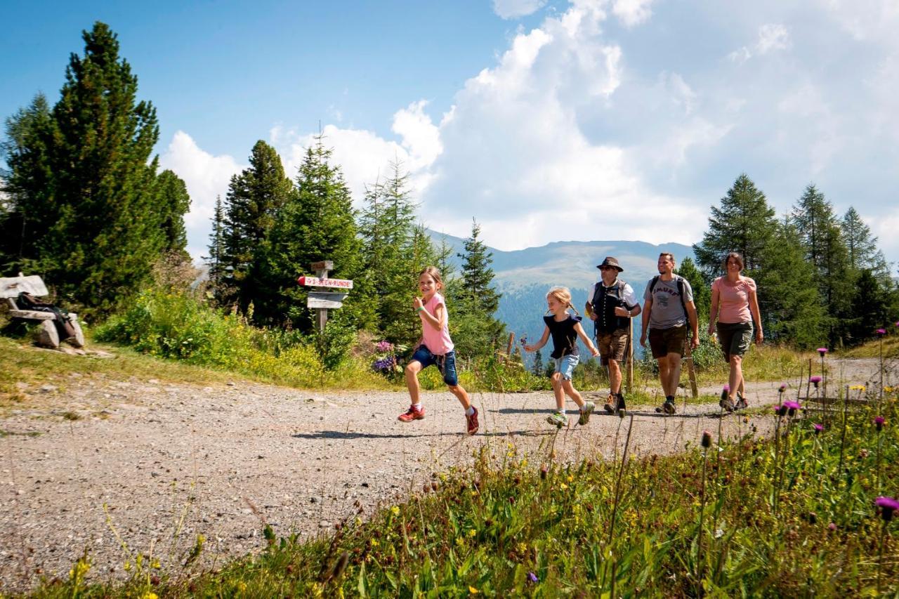 Naturpark Huette Mandl, Biobauernhof & Huettenurlaub Sankt Lambrecht Dış mekan fotoğraf