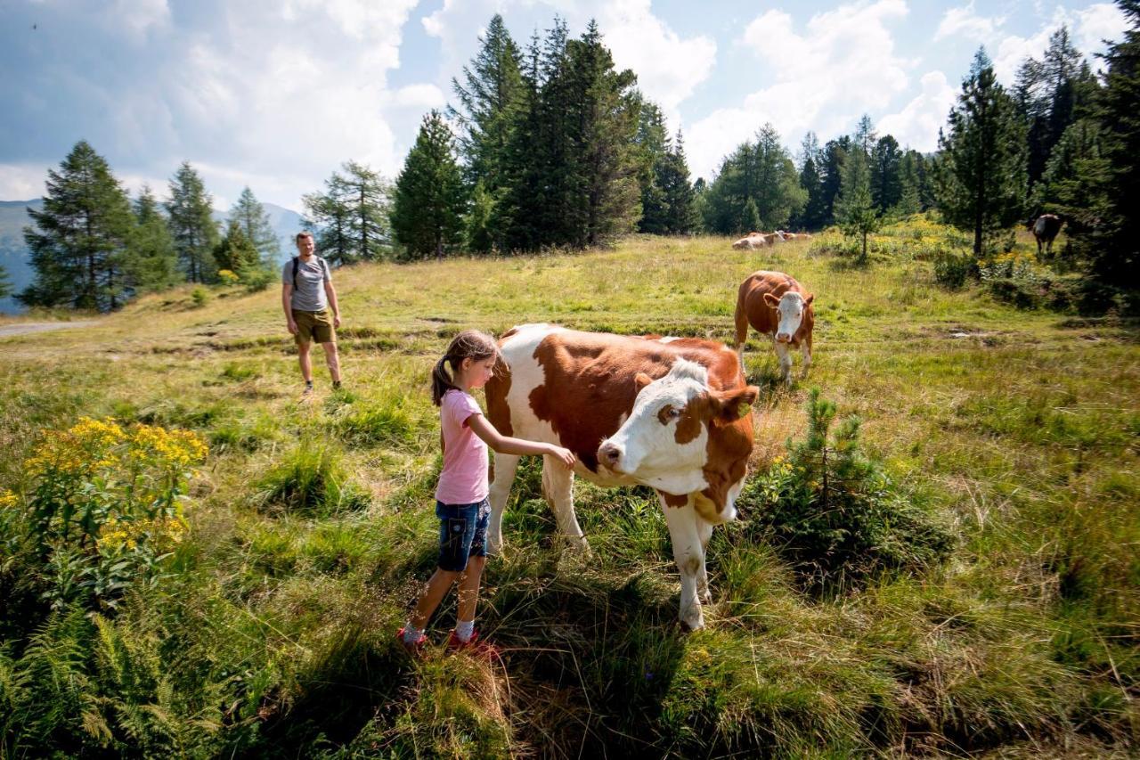 Naturpark Huette Mandl, Biobauernhof & Huettenurlaub Sankt Lambrecht Dış mekan fotoğraf