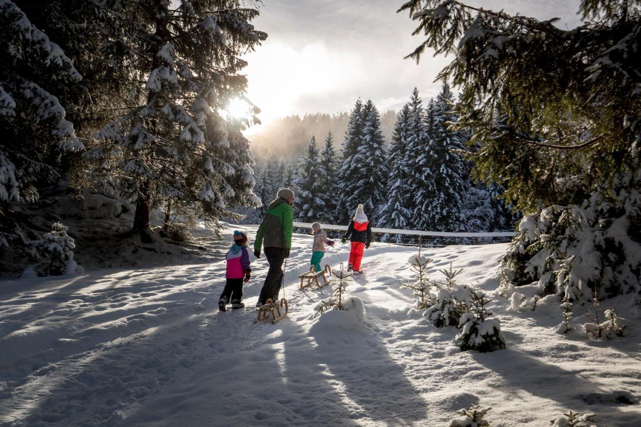 Naturpark Huette Mandl, Biobauernhof & Huettenurlaub Sankt Lambrecht Dış mekan fotoğraf