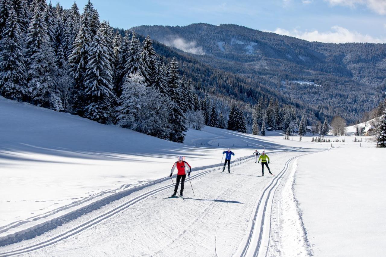 Naturpark Huette Mandl, Biobauernhof & Huettenurlaub Sankt Lambrecht Dış mekan fotoğraf