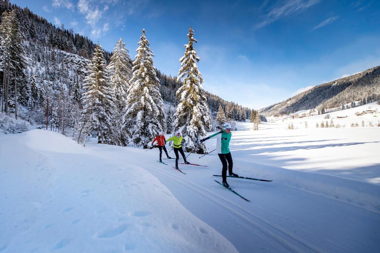 Naturpark Huette Mandl, Biobauernhof & Huettenurlaub Sankt Lambrecht Dış mekan fotoğraf