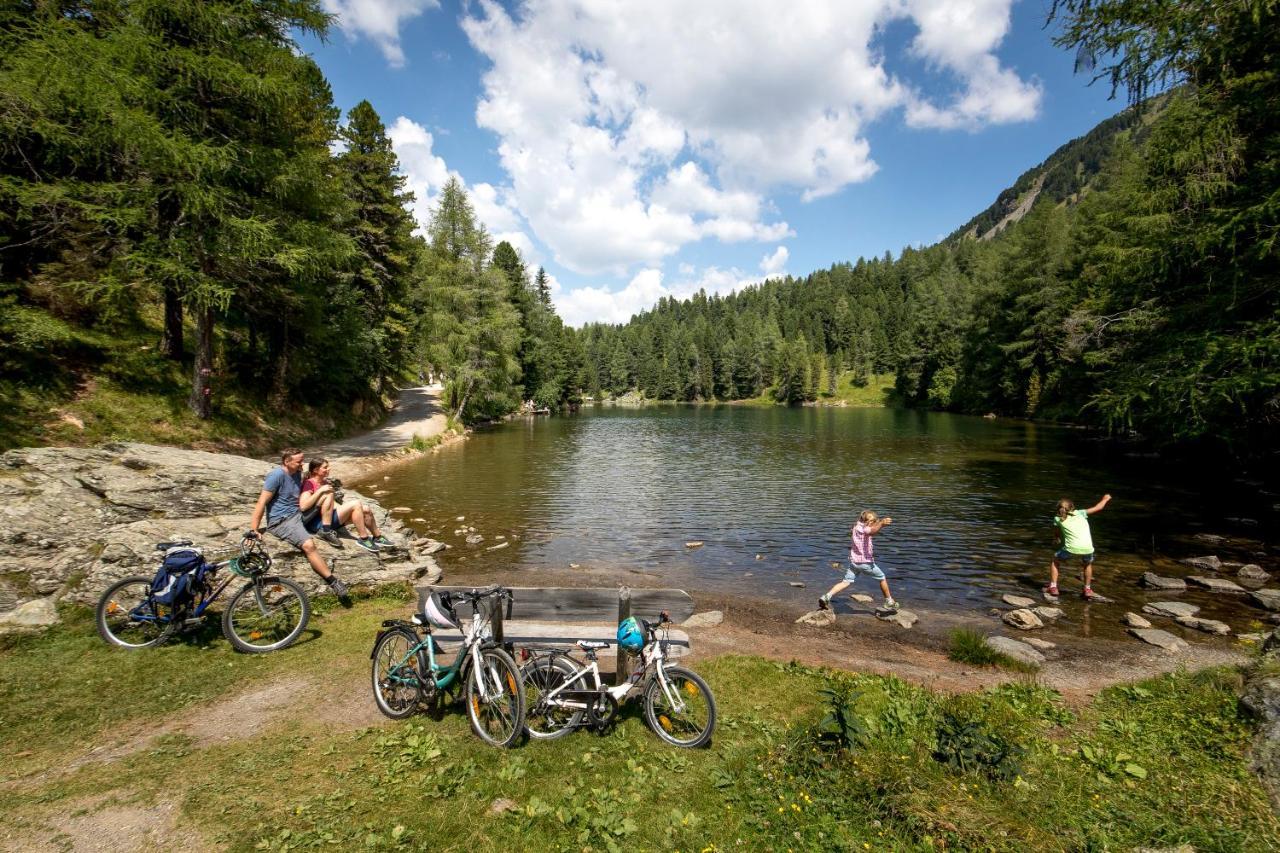Naturpark Huette Mandl, Biobauernhof & Huettenurlaub Sankt Lambrecht Dış mekan fotoğraf