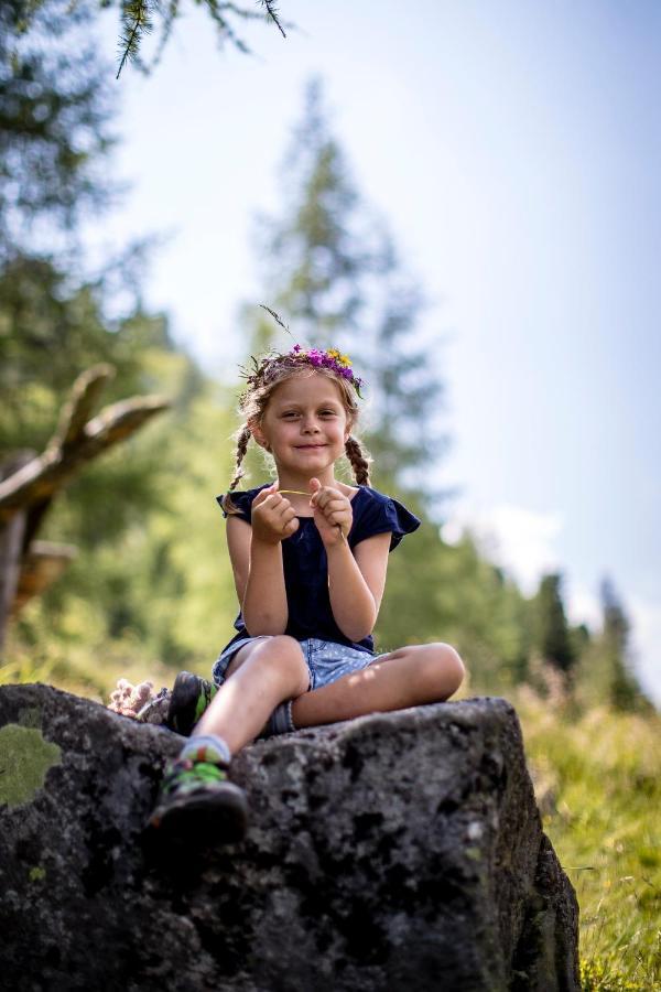 Naturpark Huette Mandl, Biobauernhof & Huettenurlaub Sankt Lambrecht Dış mekan fotoğraf